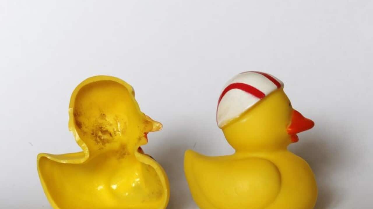 Rubber ducks