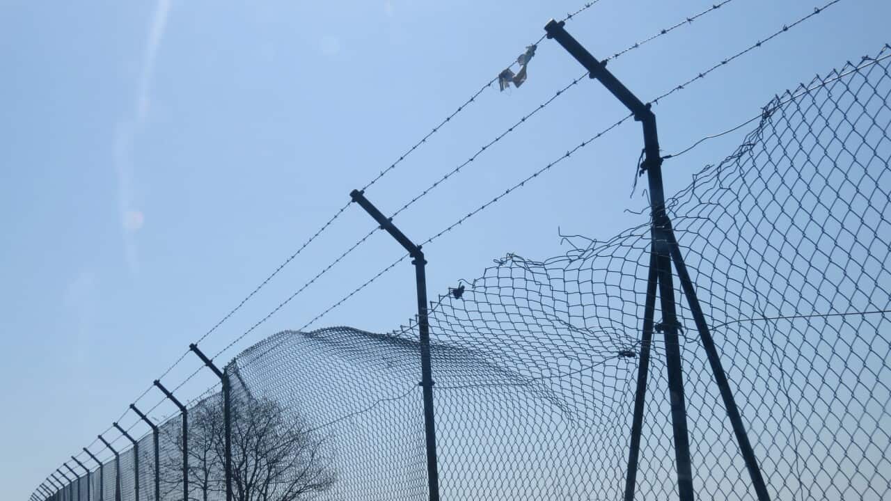 Asylum