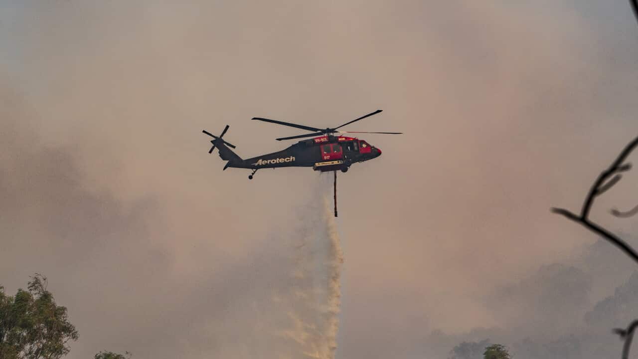 A firefighting helicopter surrounded by smoke and dropping water over trees