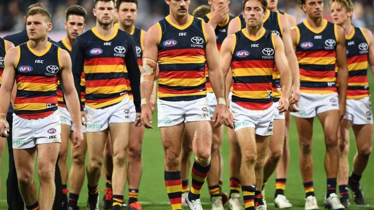 AFL CATS CROWS