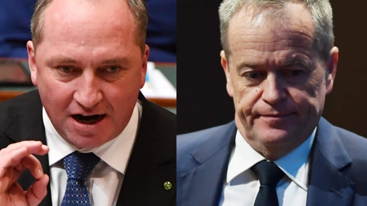 File images of Deputy PM Barnaby Joyce and Labor Leader 