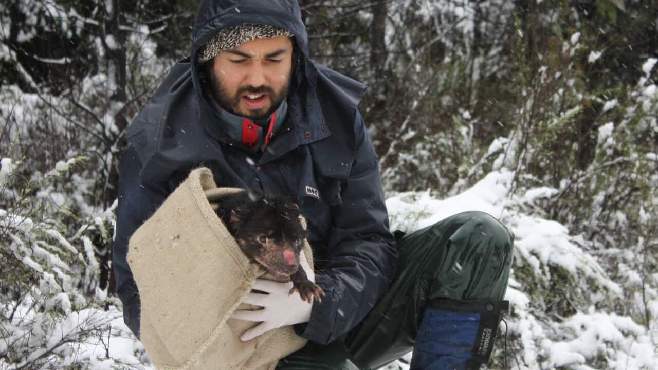 Dr Rodrigo Hamede Ross