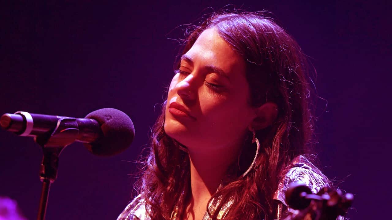 Maple Glider in Melbourne