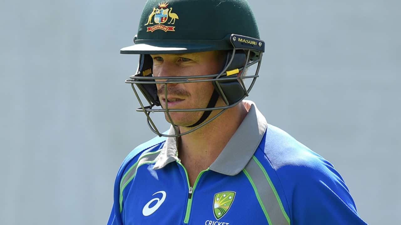 David Warner