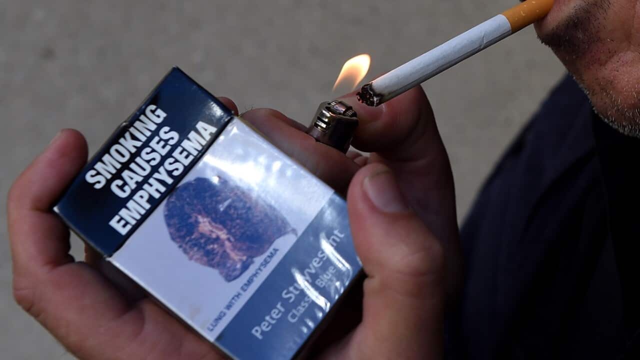 WTO backs Australia's plain tobacco packaging in landmark ruling