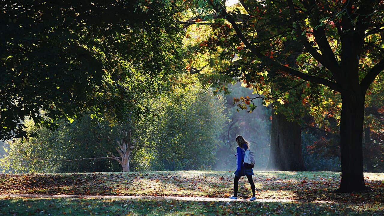 I have begun to look forward to my daily walk not just as an escape but as an enjoyable activity in its own right.