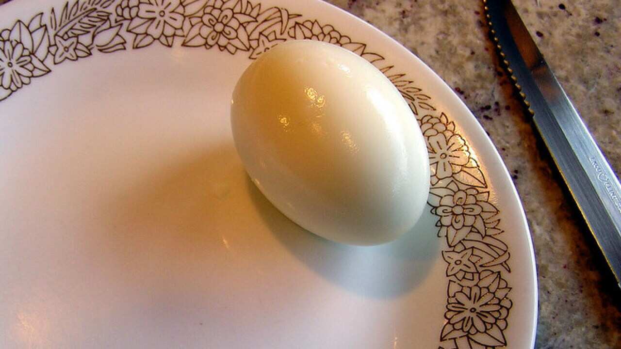 Egg