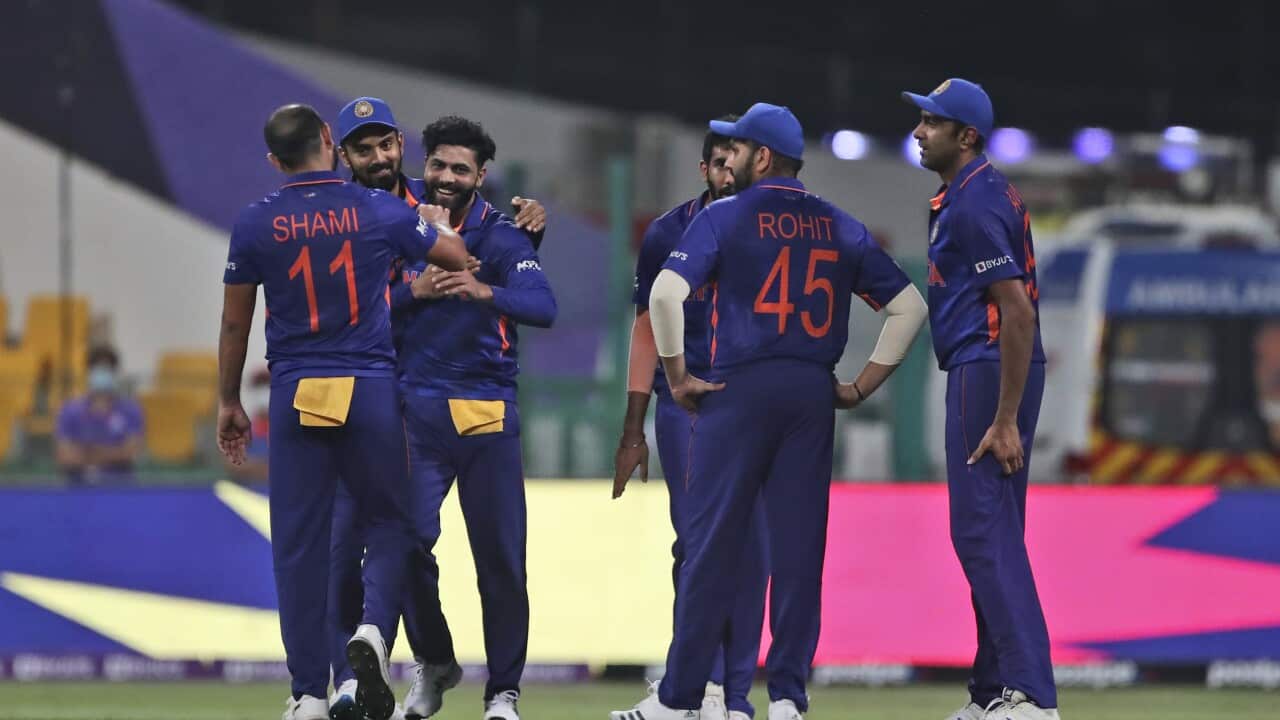 India's Ravindra Jadeja, third left, celebrates after taking a catch of Afghanistan's Karim Janat.