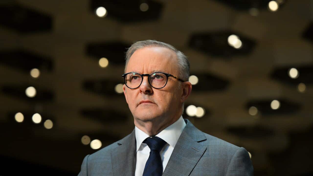ANTHONY ALBANESE NATIONAL INSTITUTES ANNOUNCEMENT