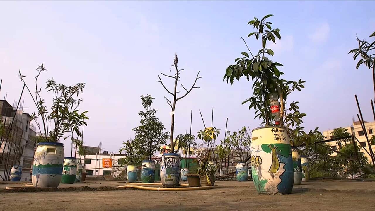 The Dhaka school's 'Oxygen Bank' garden on the roof of their building