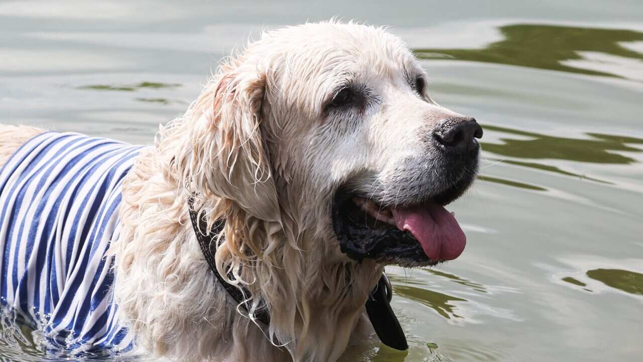 Image for read more article '相关内容'