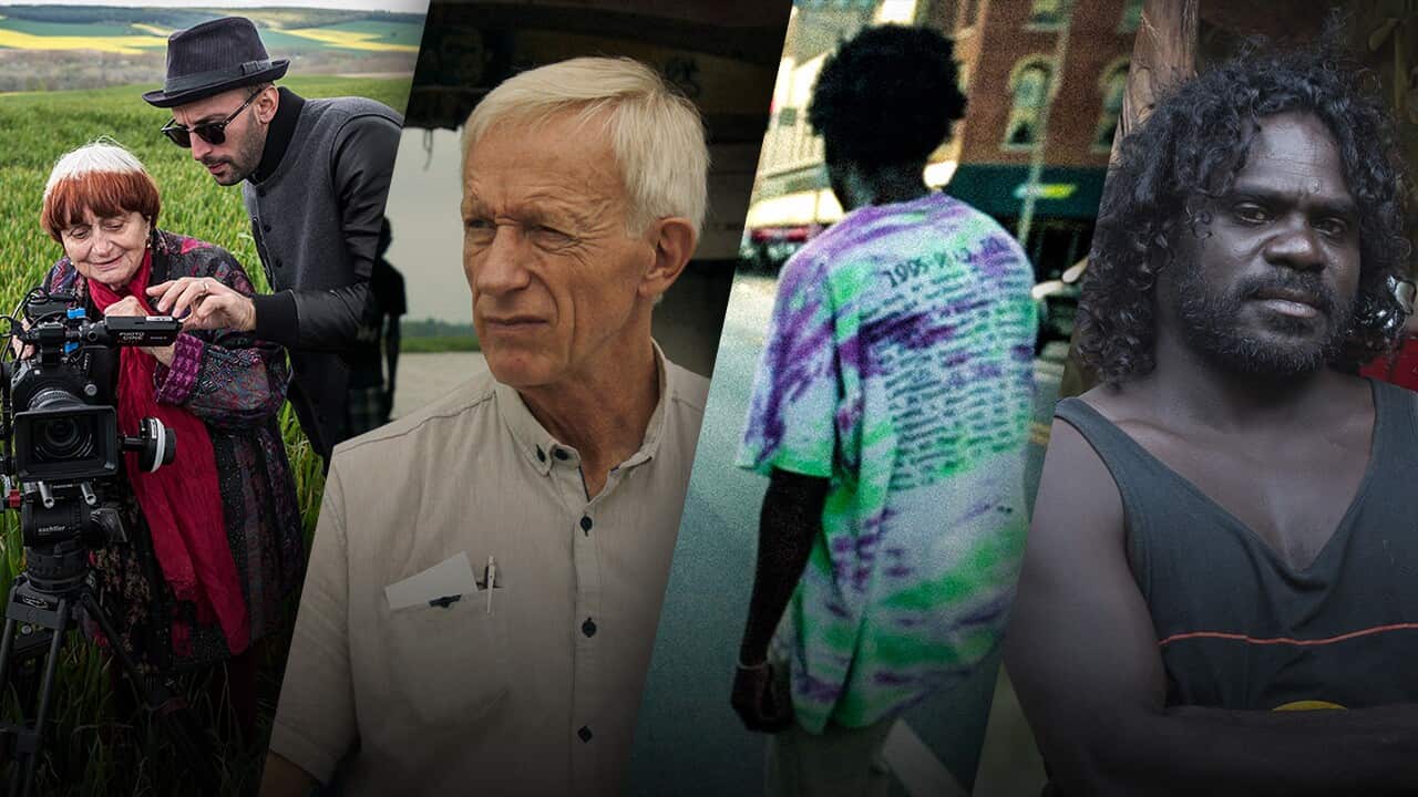 Antenna festival collection compilation image