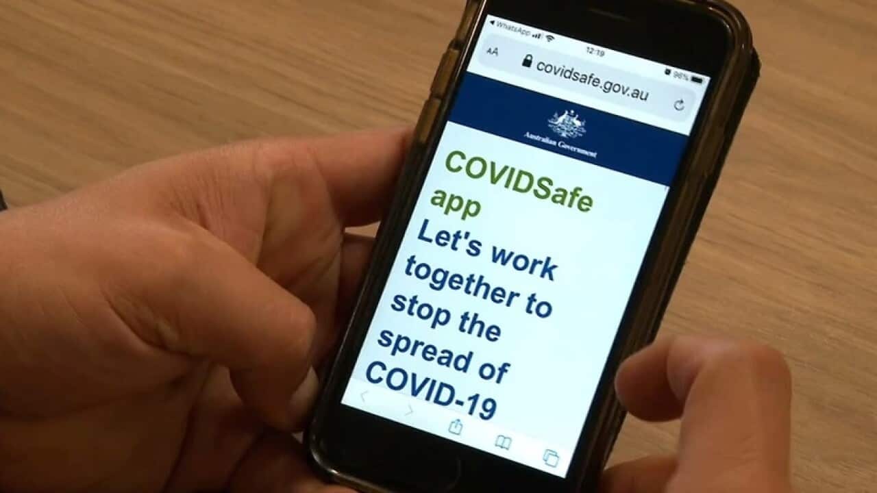 How the COVIDSafe function to trace coronavirus cases?