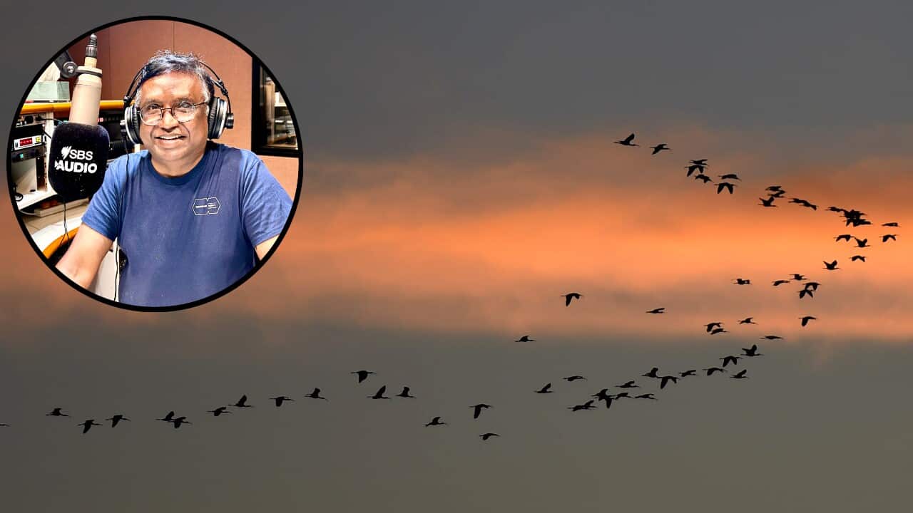 Dr. Ramaswami (Ram) Mahalingam