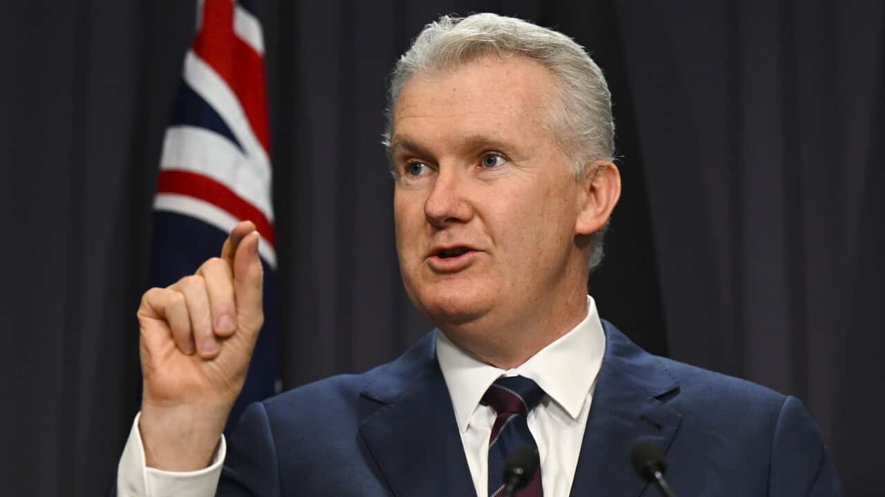 Employment Minister Tony Burke