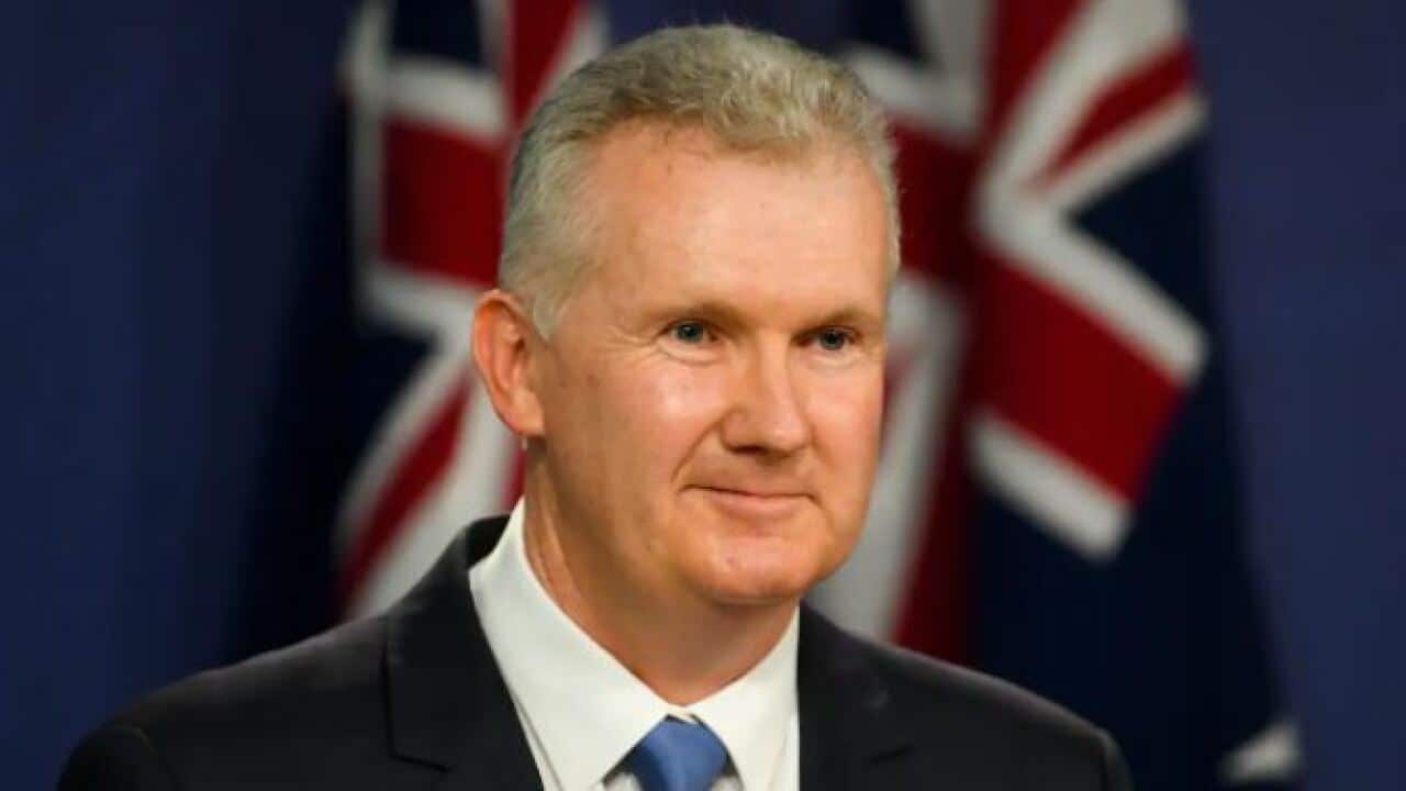 Employment Minister Tony Burke.