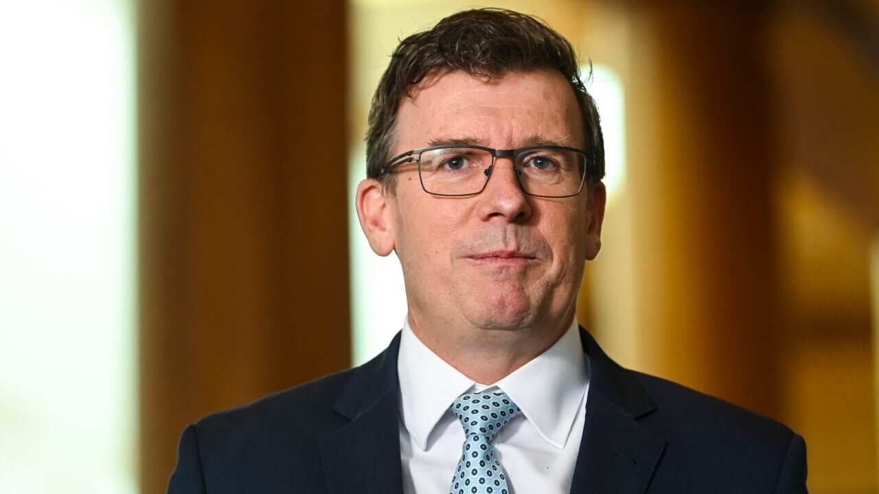 Acting Immigration Minister Alan Tudge has revealed further details on the government's plan to introduce an English language requirement to partner visas.