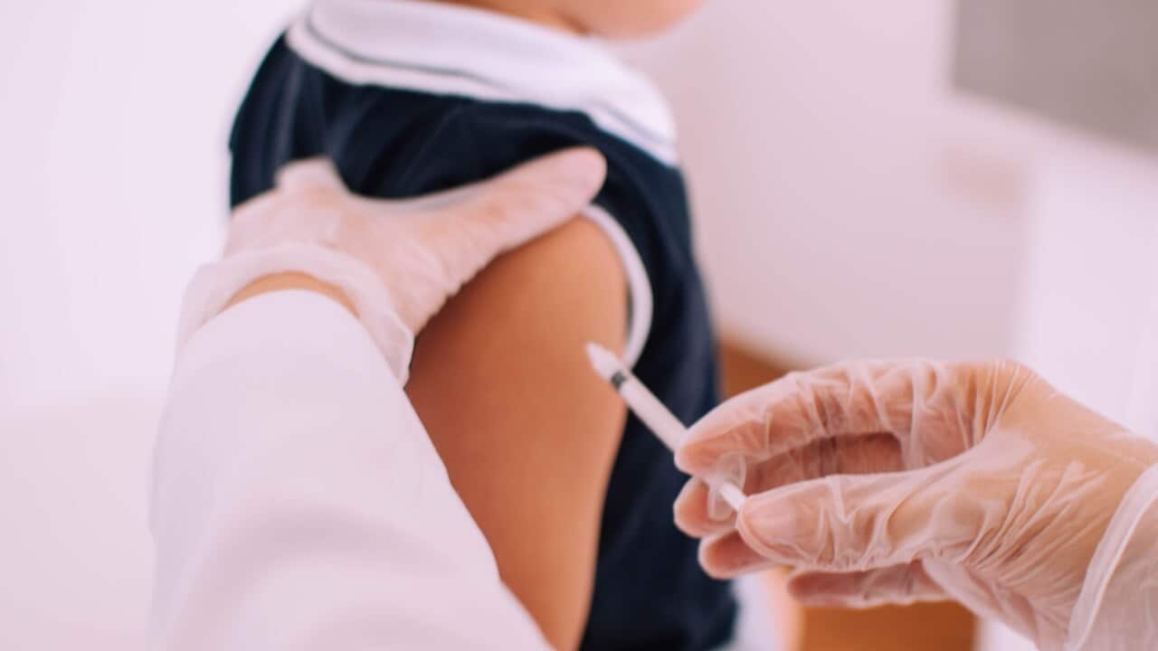 A male toddle is being vaccinated by a pediatrician