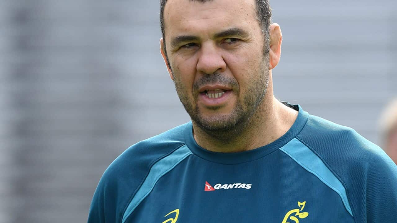 Michael Cheika