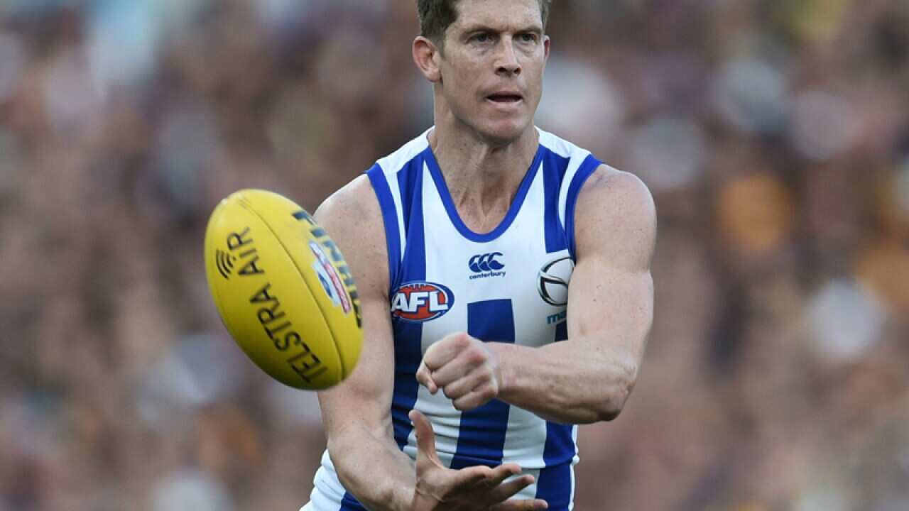 North Melbourne midfielder Nick Dal Santo