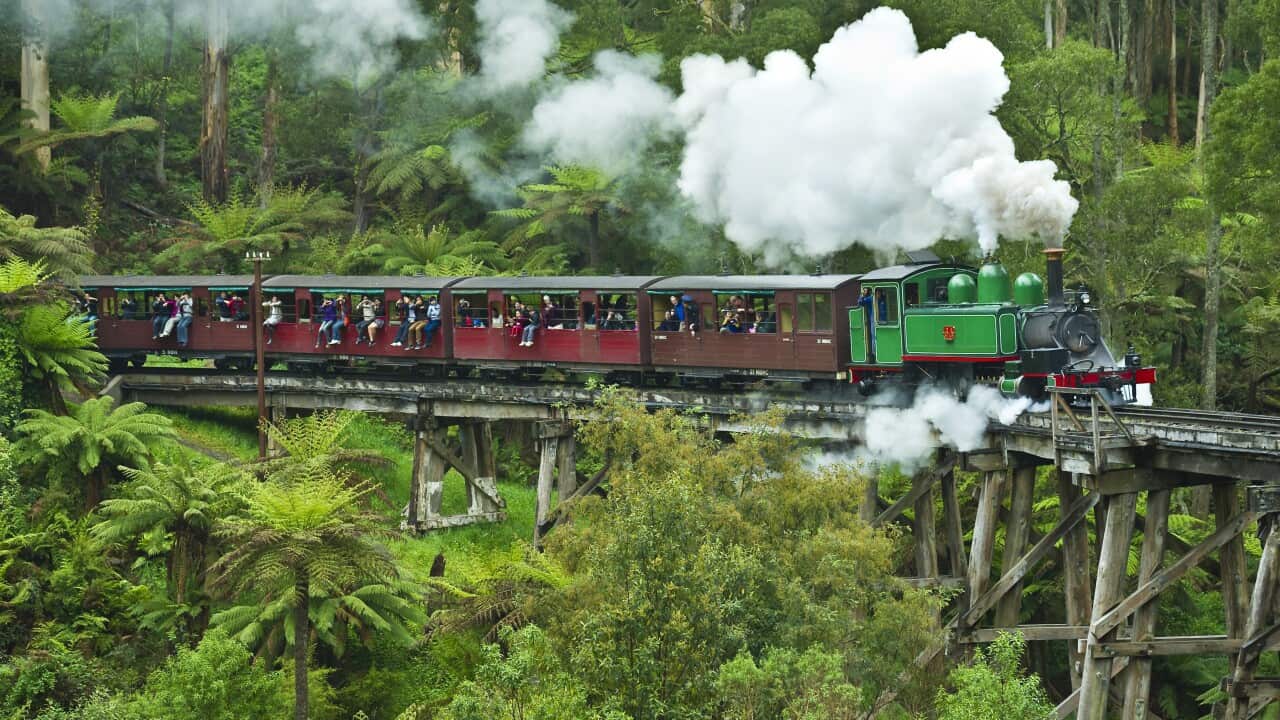 Puffing Billy train in Belgrave