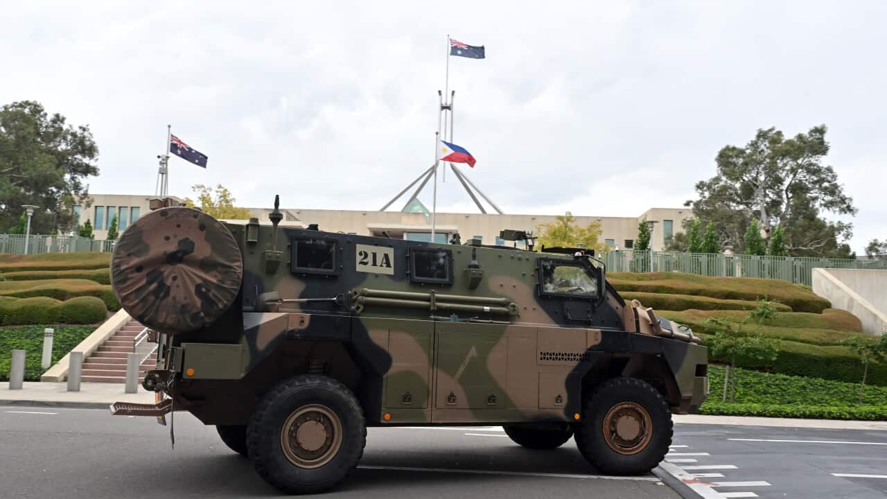 BUSHMASTER PARLIAMENT HOUSE