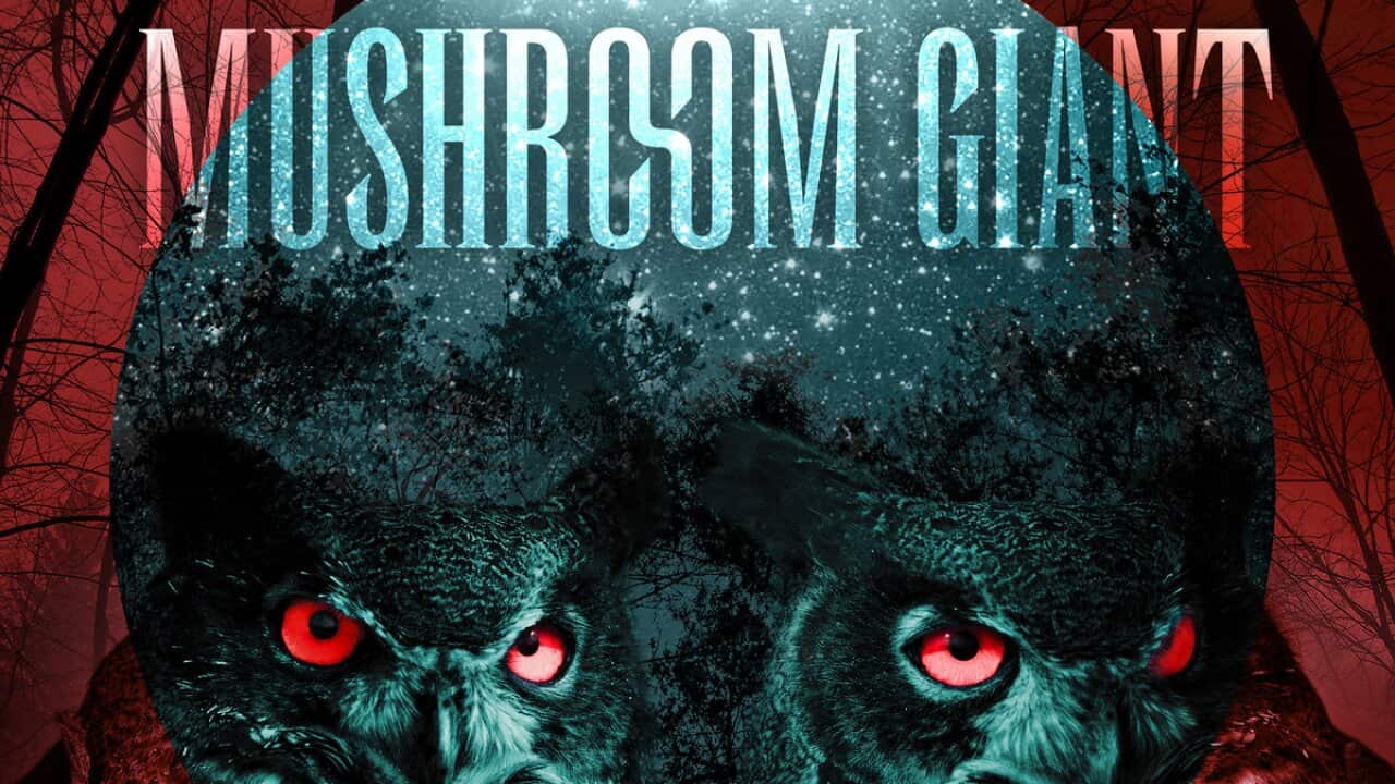 Mushroom