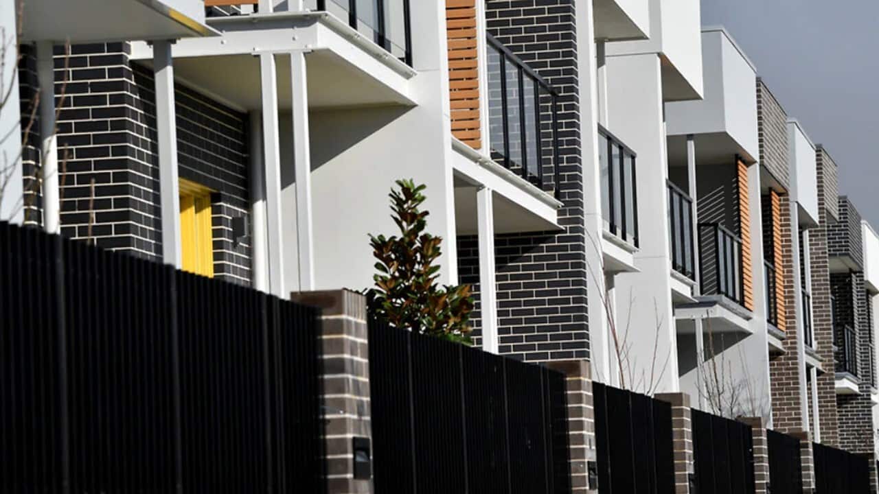 Amharic morning news June 03, 2020