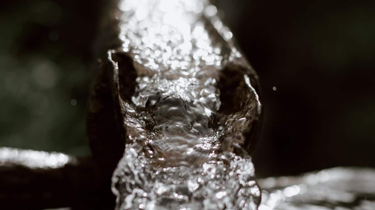 traces of COVID-19 were detected in local sewage