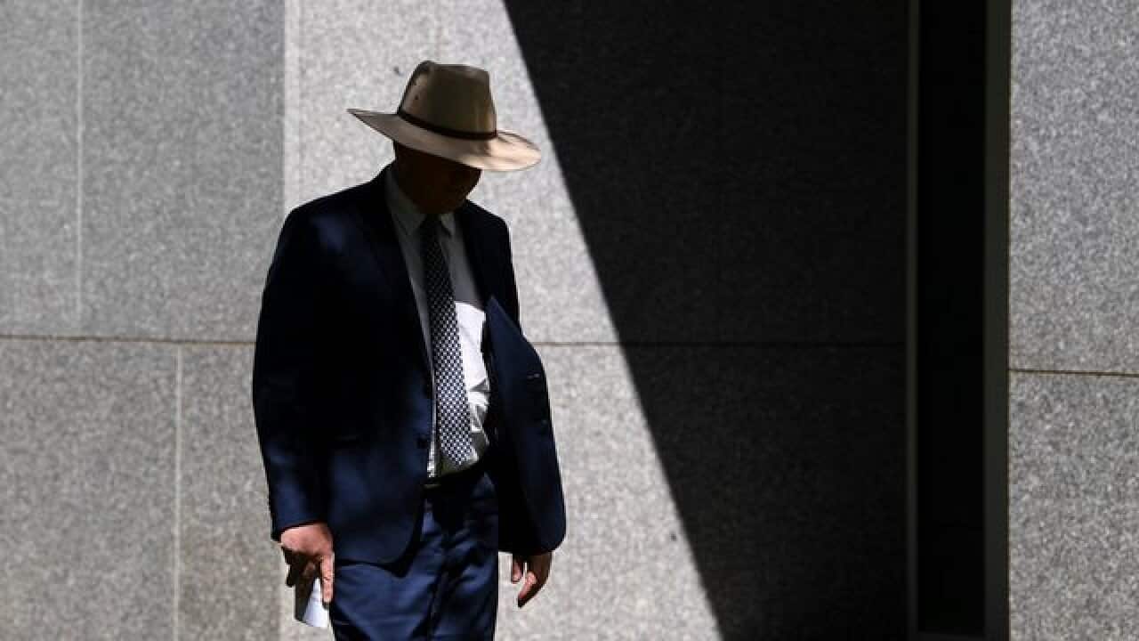 Australian Deputy Prime Minister Barnaby Joyce arrives to speak to the media during a press conference at Parliament House in Canberra (AA
