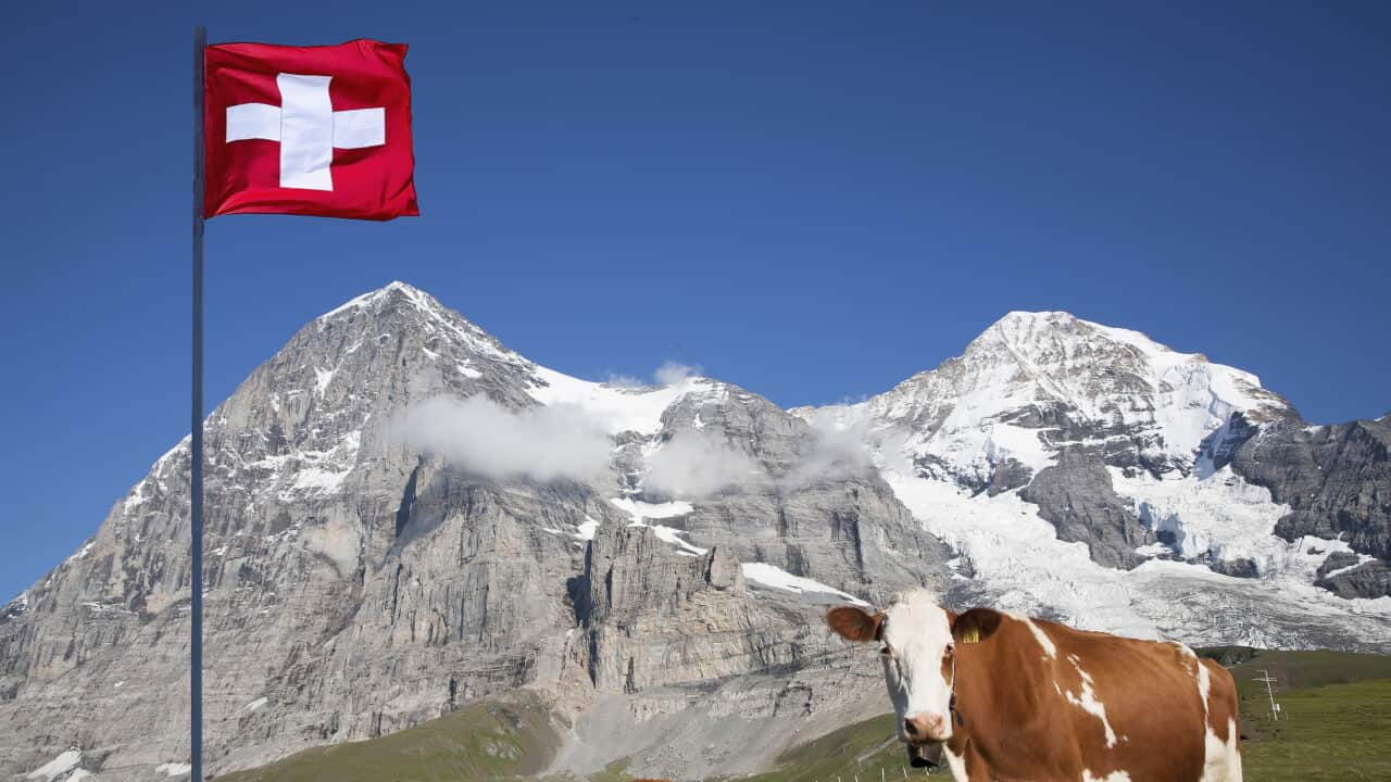 Majestic Alpine mountain Landscape With Waving Swiss Flag