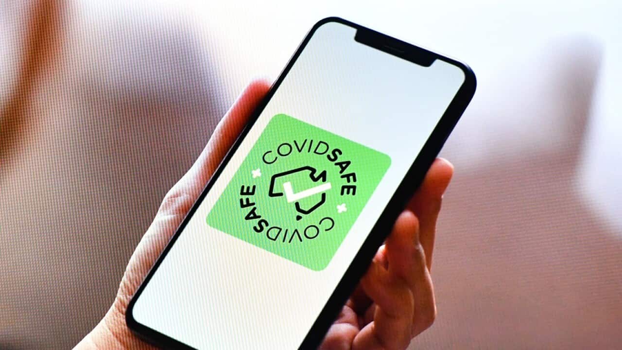 CovidSafe app.