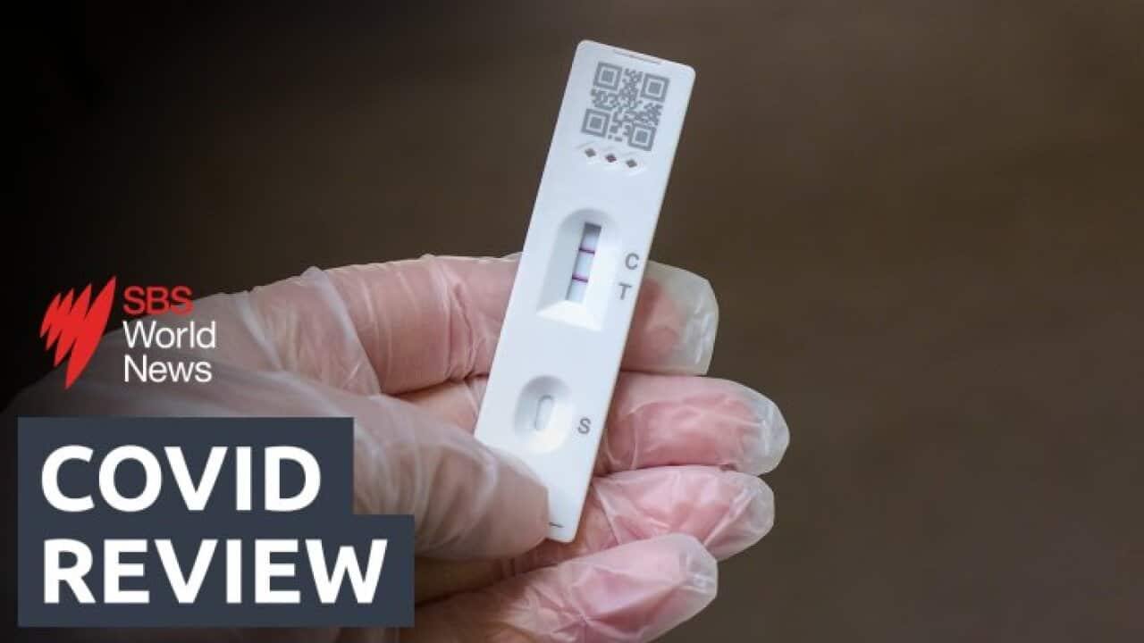 An inquiry into the Commonwealth's response to the COVID pandemic has found an erosion of public trust in governments and health systems.