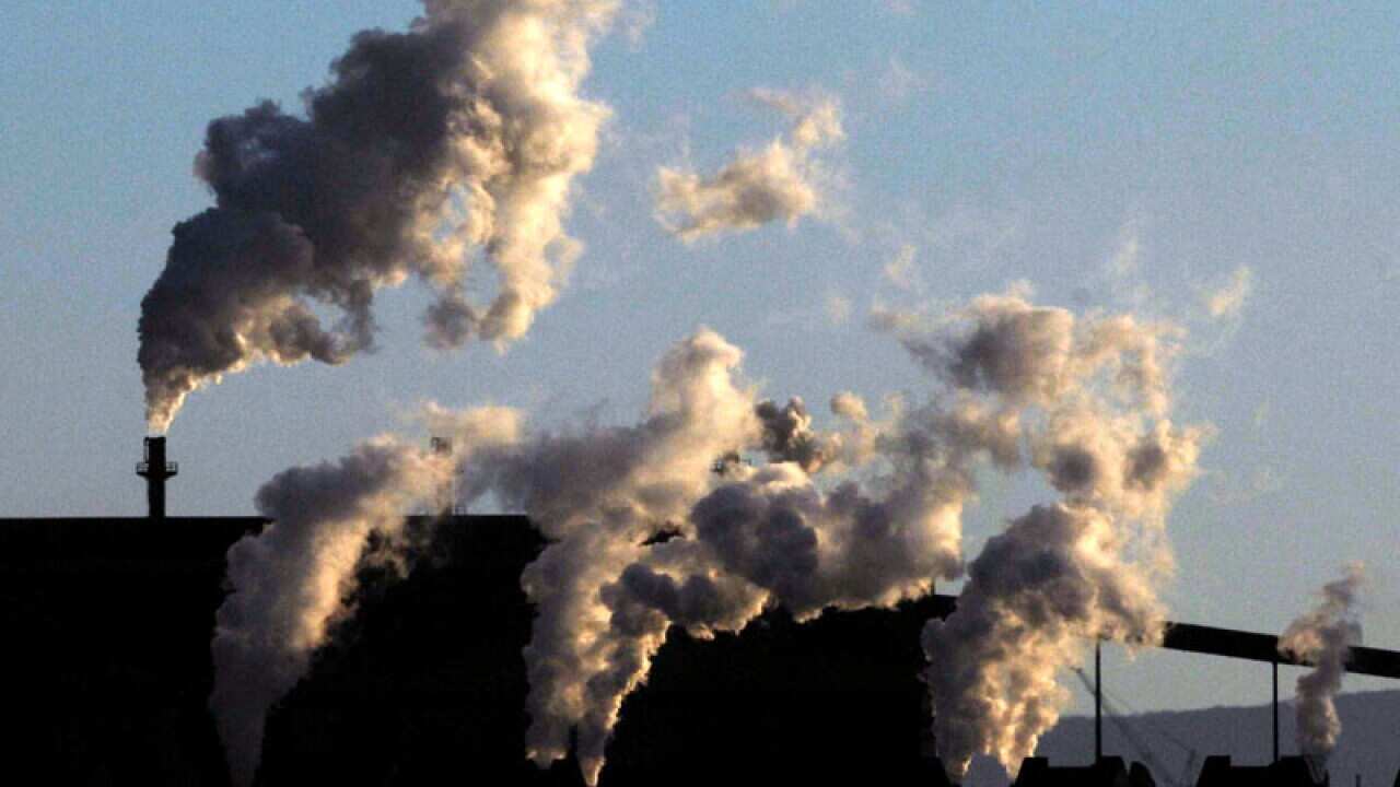 Almost 300 businesses back carbon price