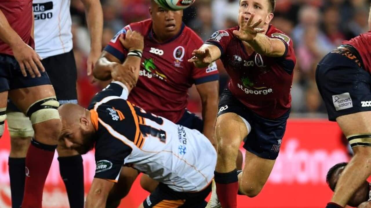 James Tuttle of the Queensland Reds