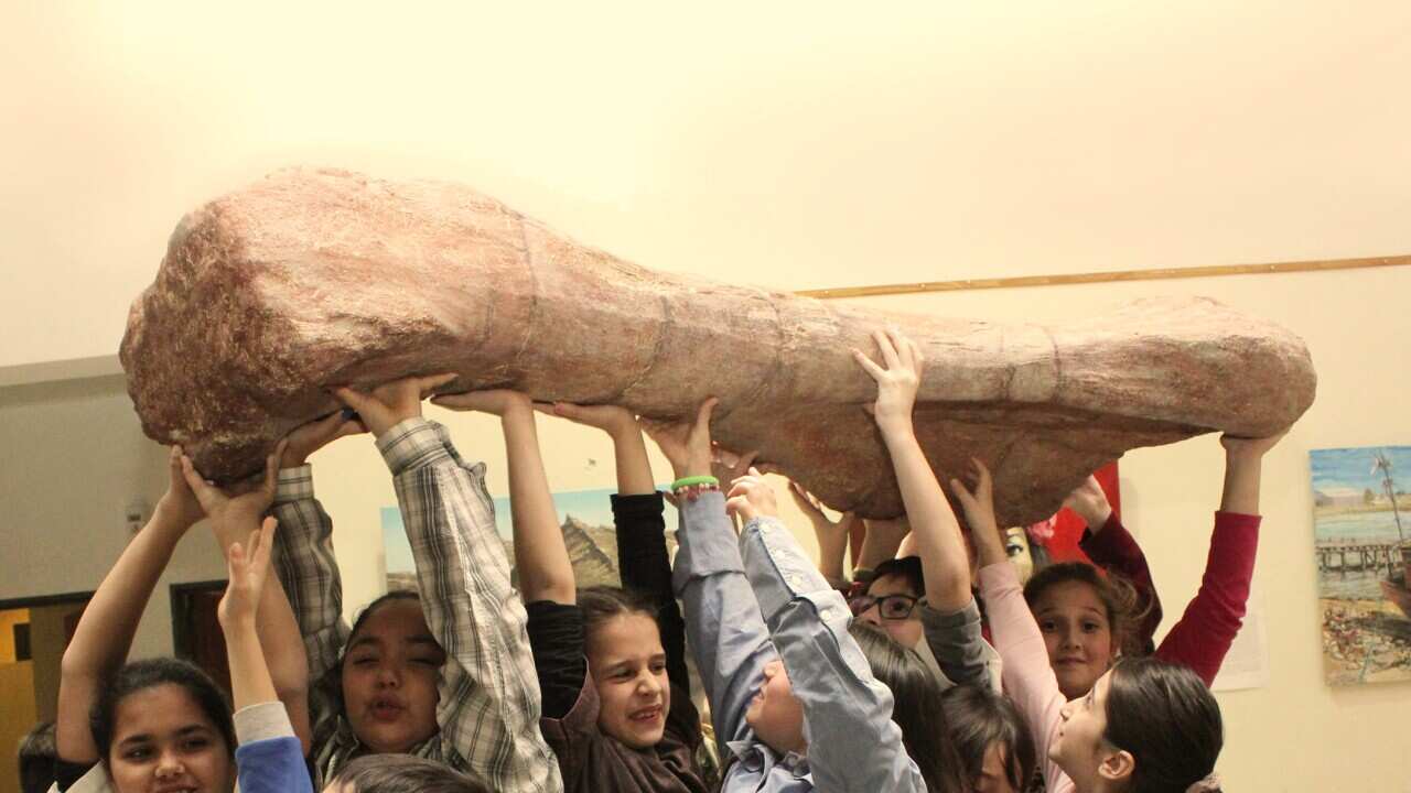 Image for read more article 'Más información:'