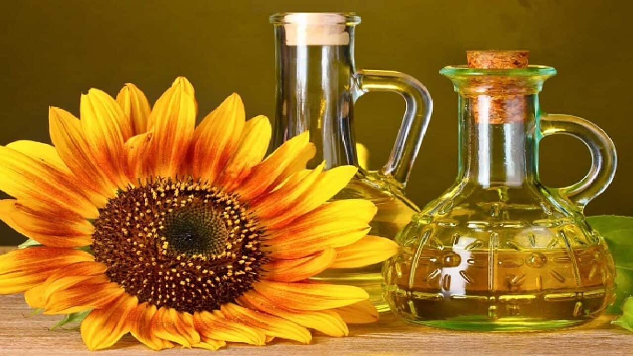 Sunflower oil