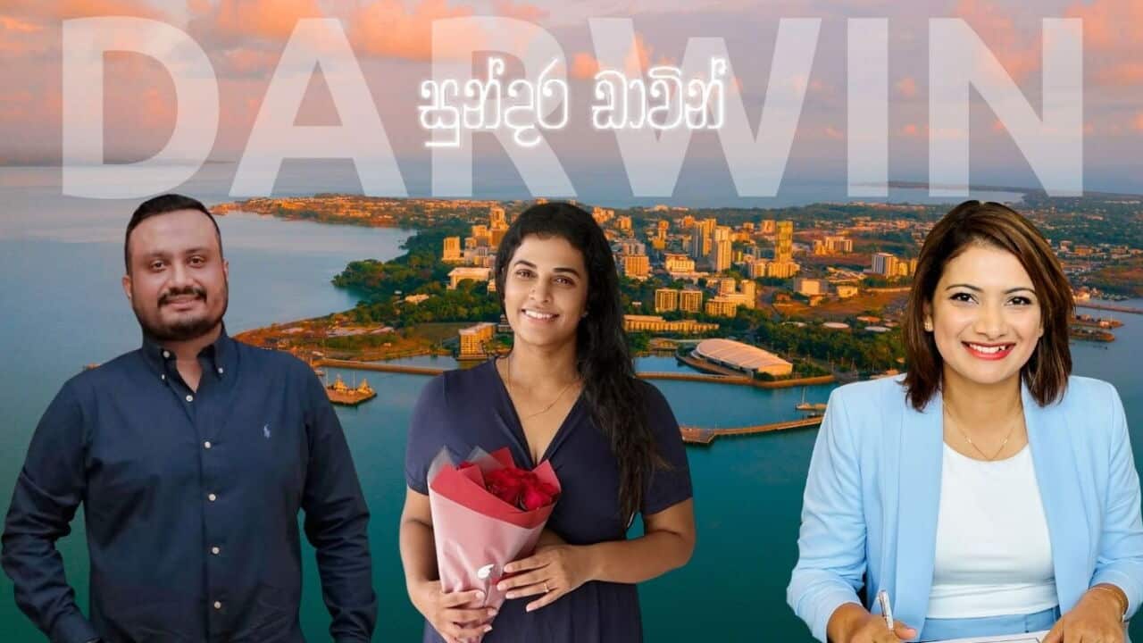 SBS Sinhala Sudara Darwin September cover Vini Weerasooriya Getty Rachel Stewart-rsnz.jpg