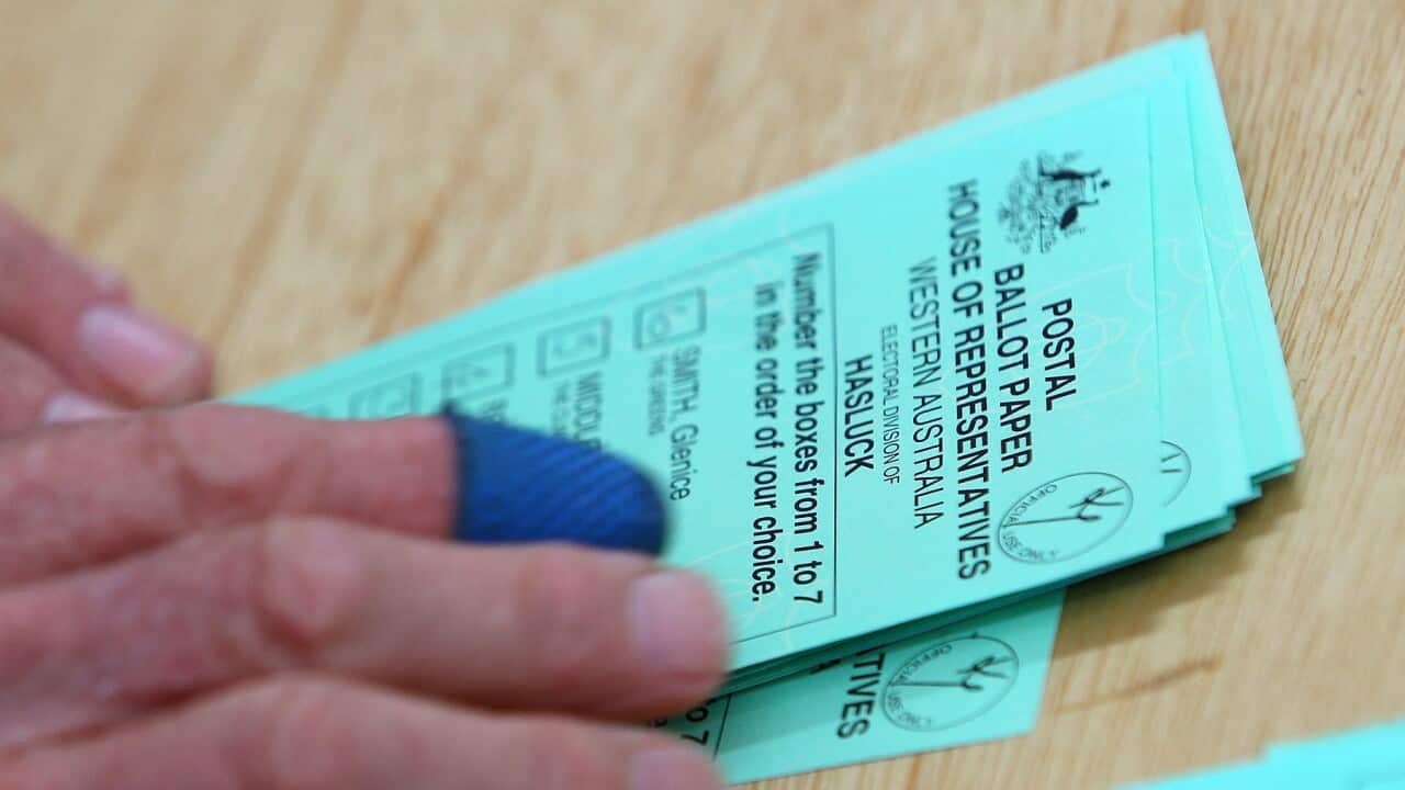 Postal Vote Counting In Marginal Seat Of Hasluck Continues