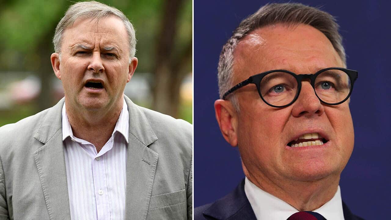 Joel Fitzgibbon and Anthony Albanese are at odds over Labor’s climate strategy.