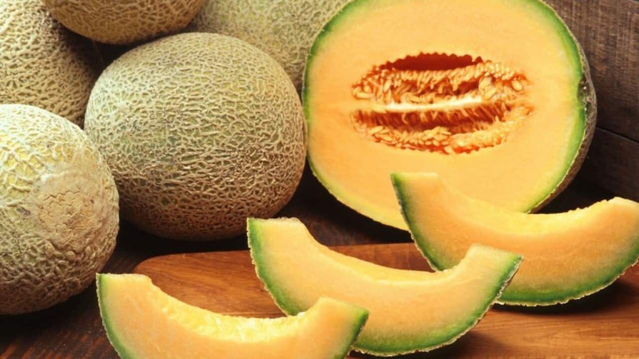 Rockmelon
