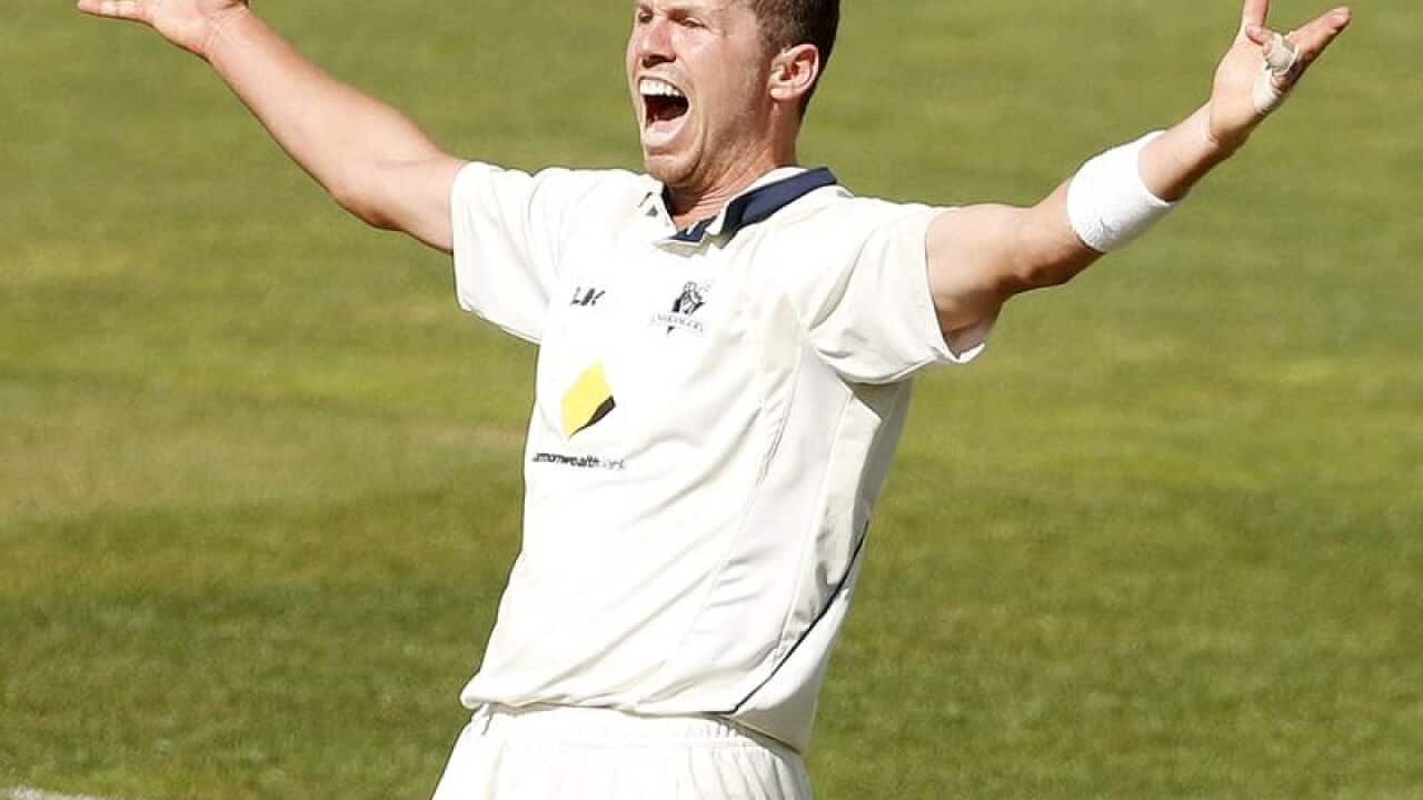 Peter Siddle
