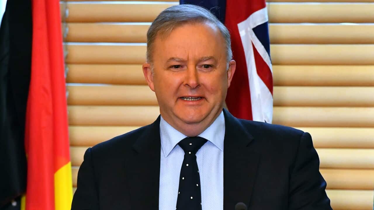 Anthony Albanese Vaccine