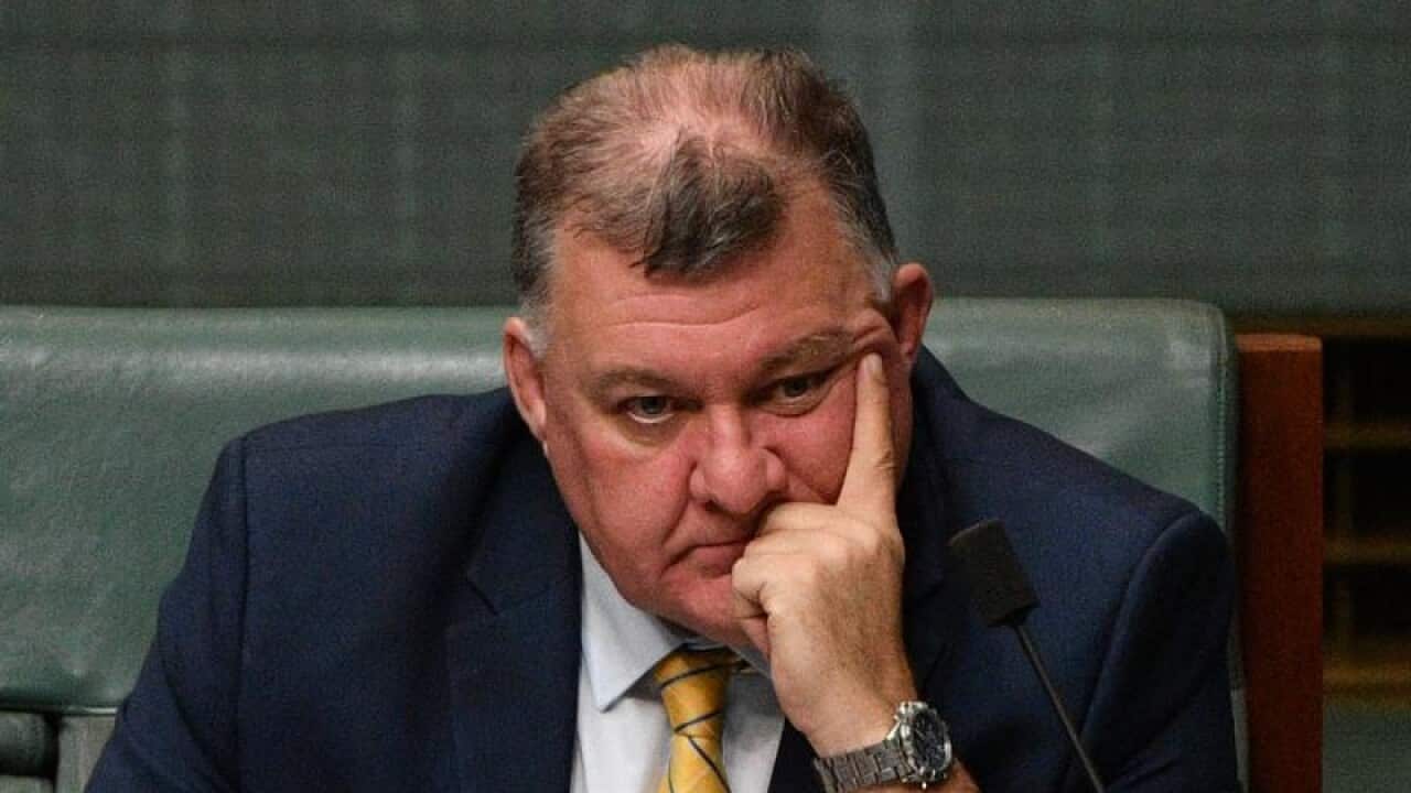 Liberal Member for Hughes Craig Kelly has been forced to apologise over his MH17 comments.