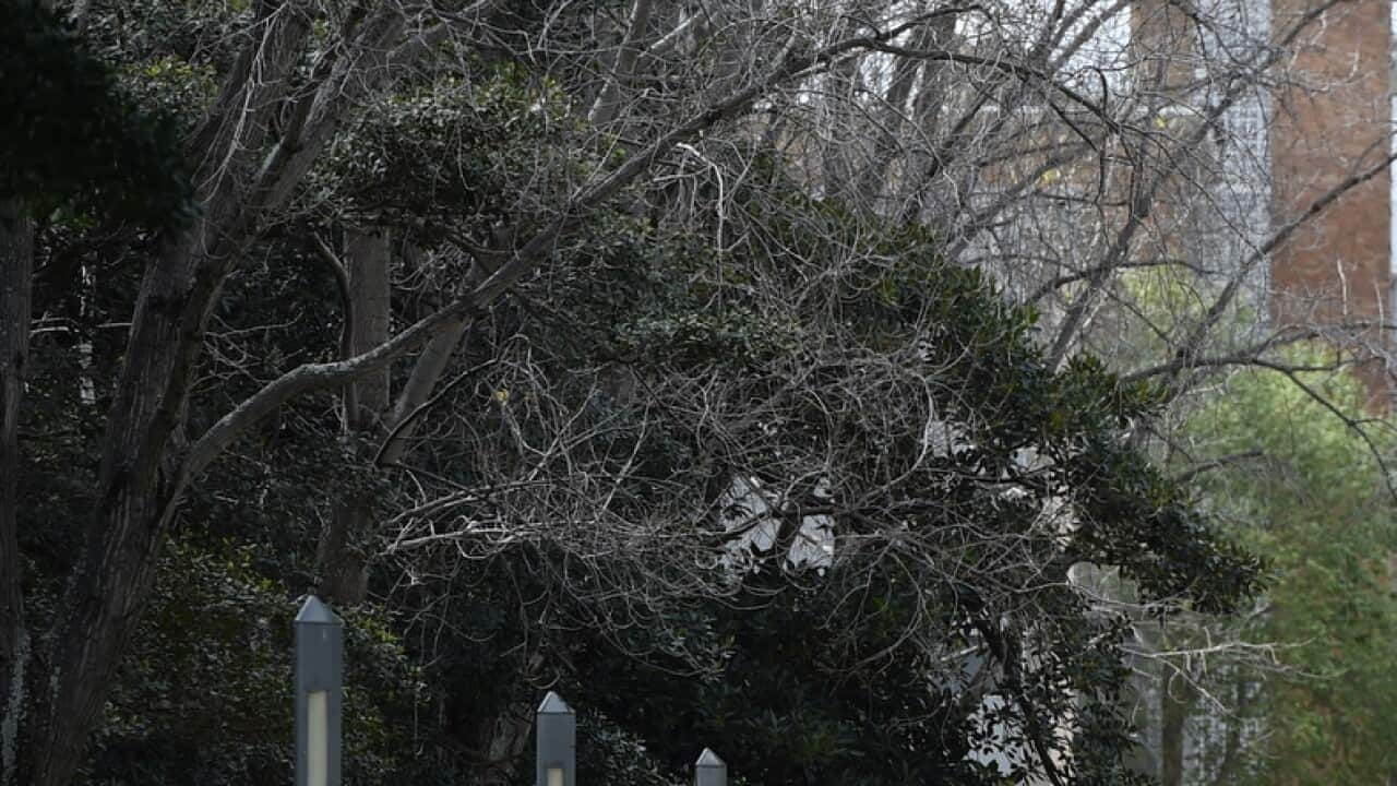 University New Task Force