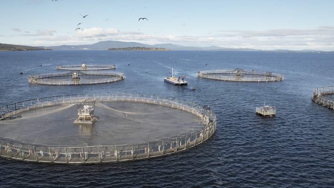 Ocean Fisheries Antarctic Krill Fishing