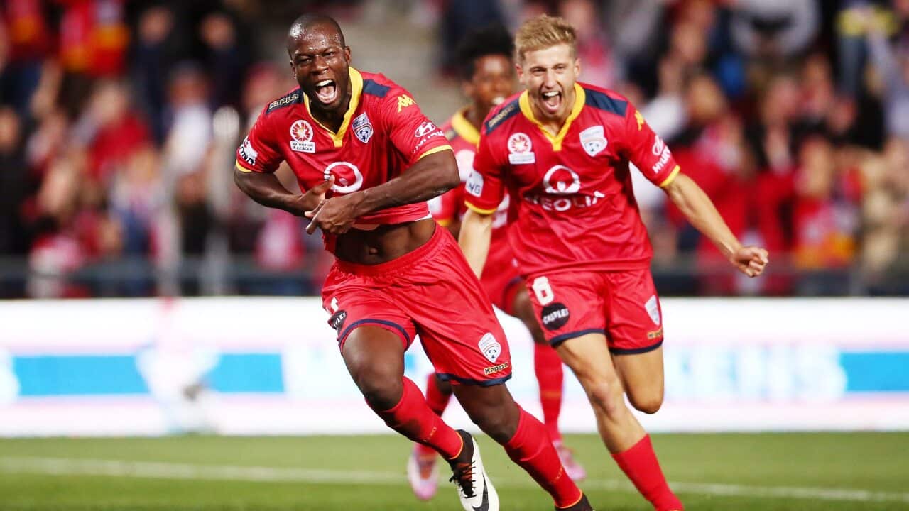 Djite celebrates