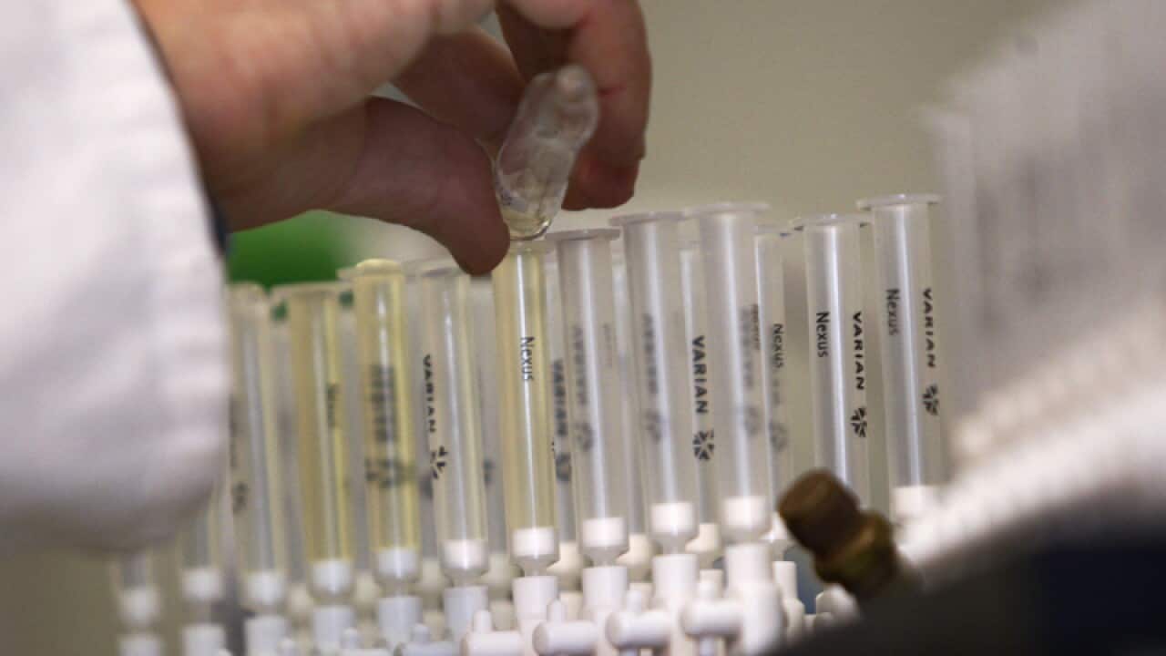 A lab technician prepares samples of urine for doping tests