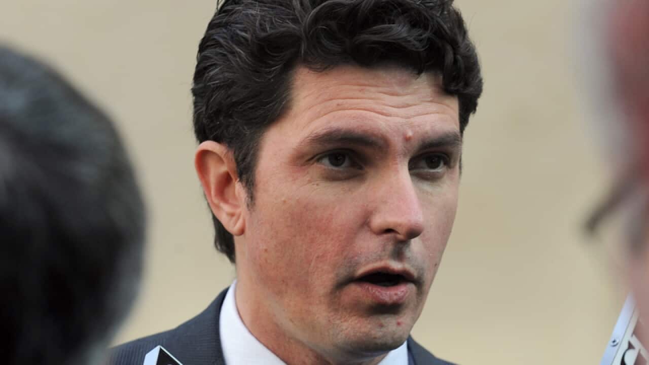 Greens might not support ETS plan