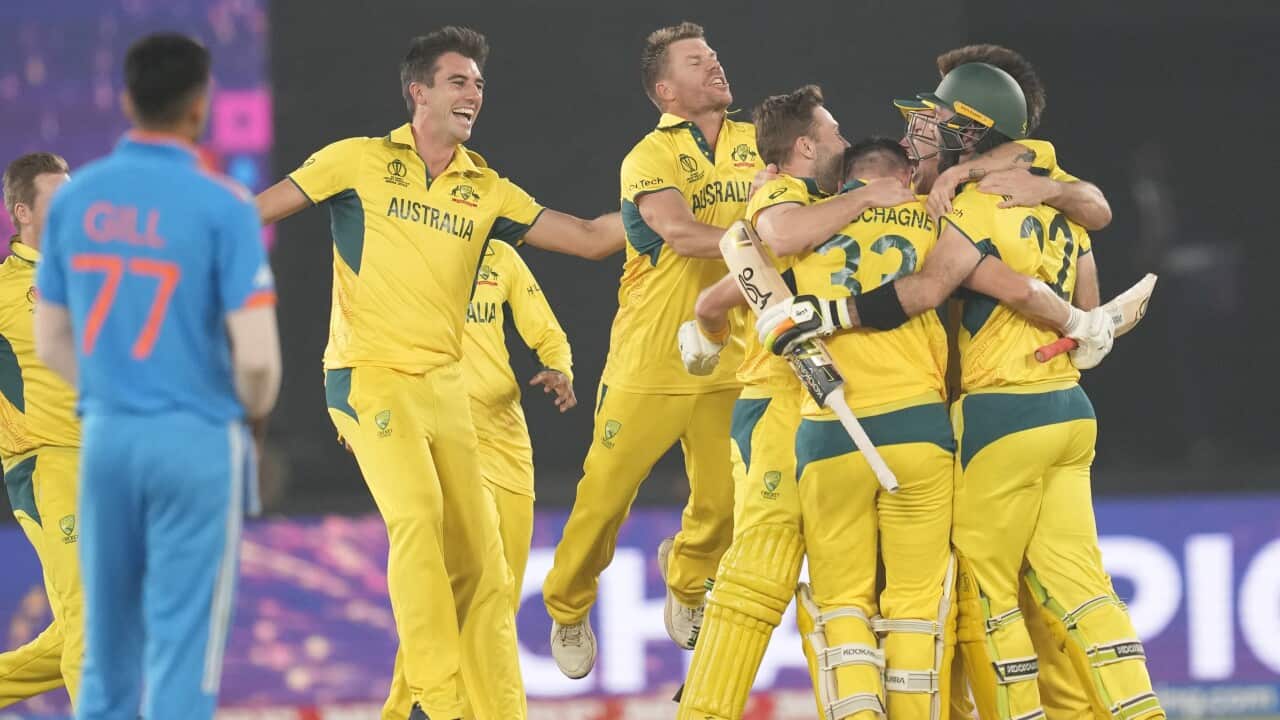 India Cricket WCup